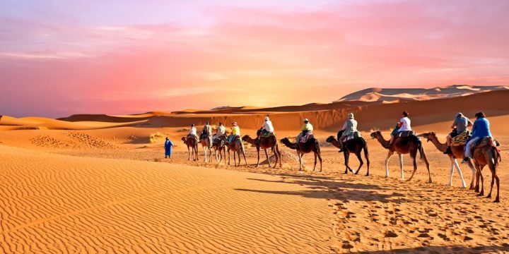 Cómo ir de Marrakech al desierto del Sahara?